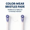 Spinbrush PRO CLEAN Replacement Heads 2 Count Blue-2