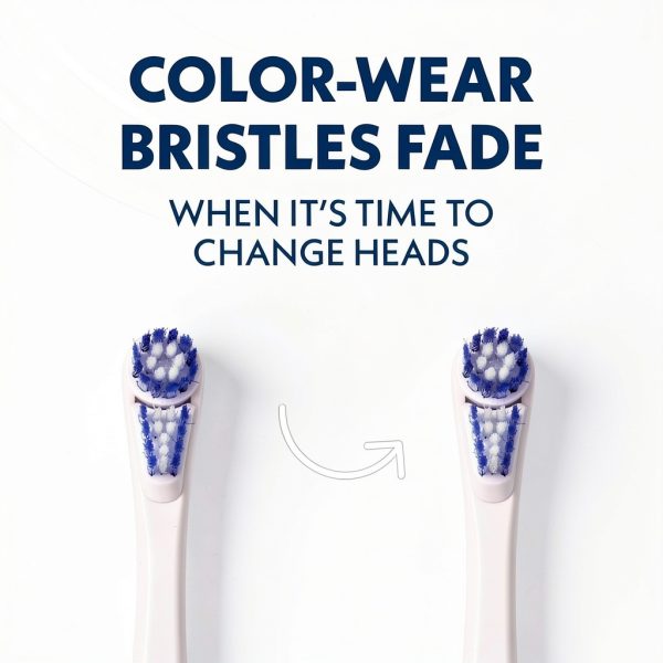 Spinbrush PRO CLEAN Replacement Heads 2 Count Blue-2